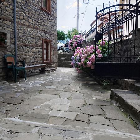 Arka Metsovo Hotell Eksteriør bilde