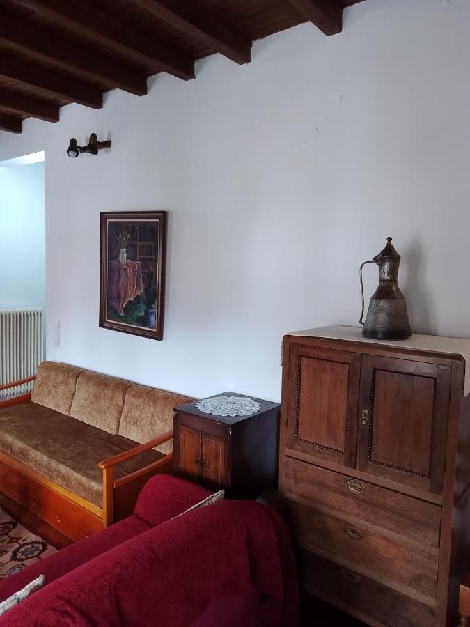 Arka Metsovo Hotell Eksteriør bilde