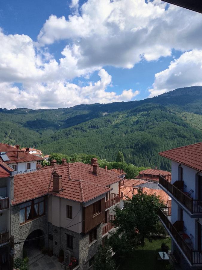 Arka Metsovo Hotell Eksteriør bilde