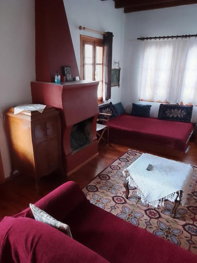 Arka Metsovo Hotell Eksteriør bilde