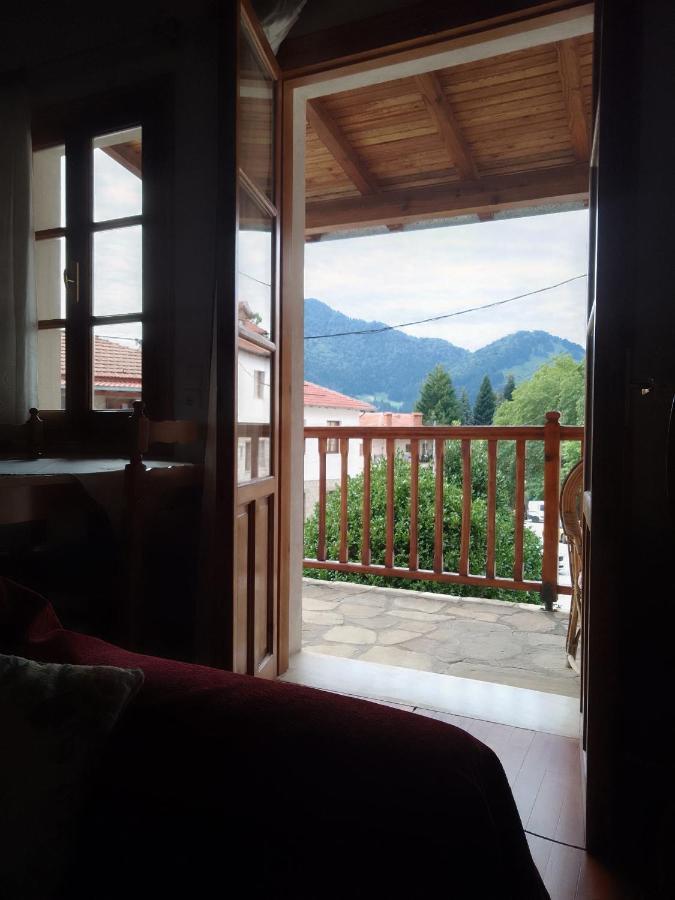 Arka Metsovo Hotell Eksteriør bilde