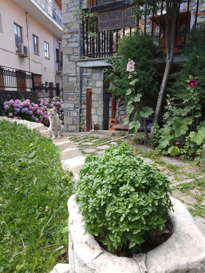 Arka Metsovo Hotell Eksteriør bilde