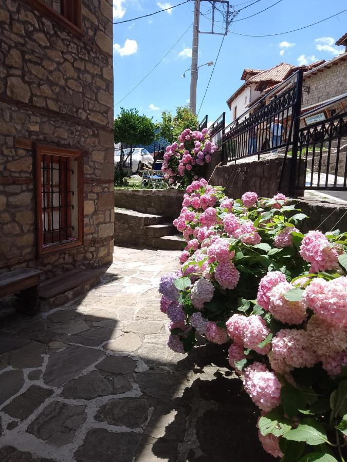 Arka Metsovo Hotell Eksteriør bilde