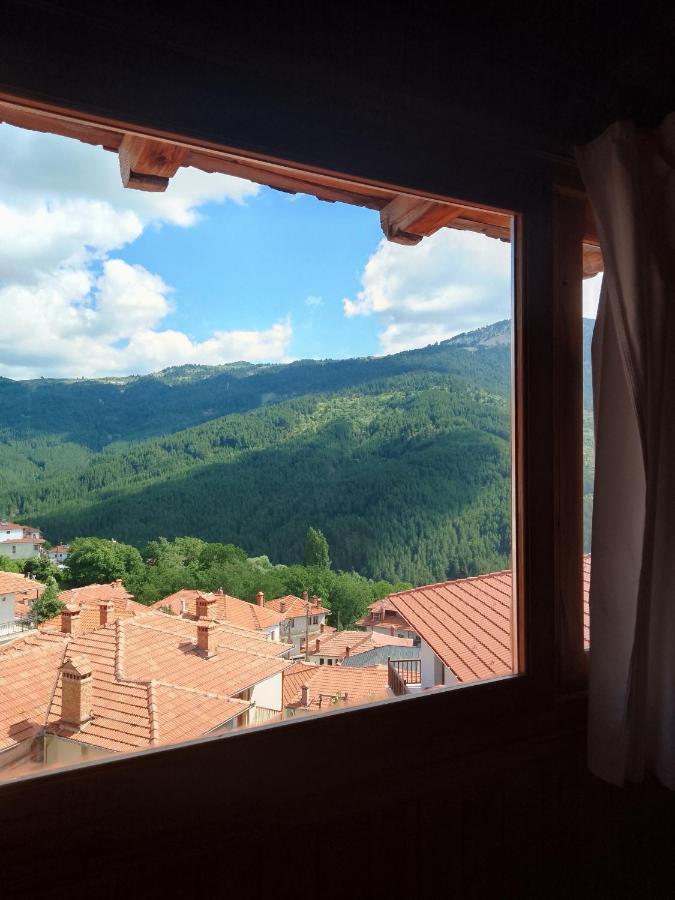 Arka Metsovo Hotell Eksteriør bilde