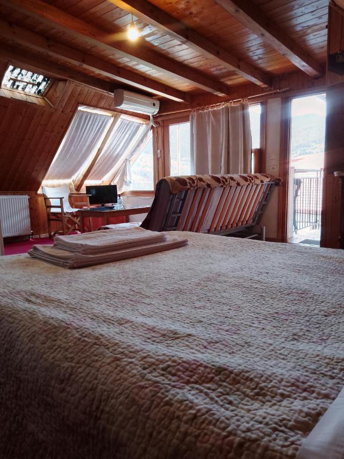 Arka Metsovo Hotell Eksteriør bilde