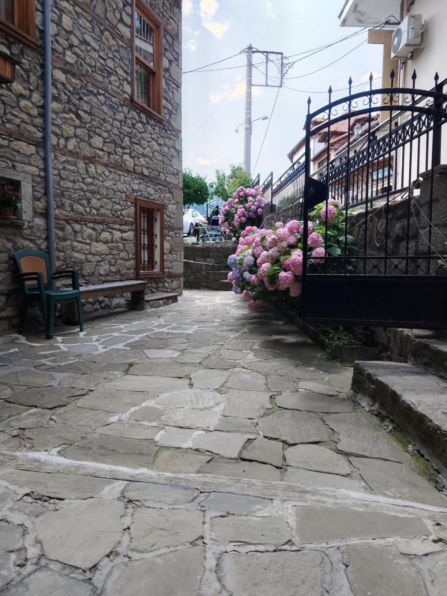 Arka Metsovo Hotell Eksteriør bilde